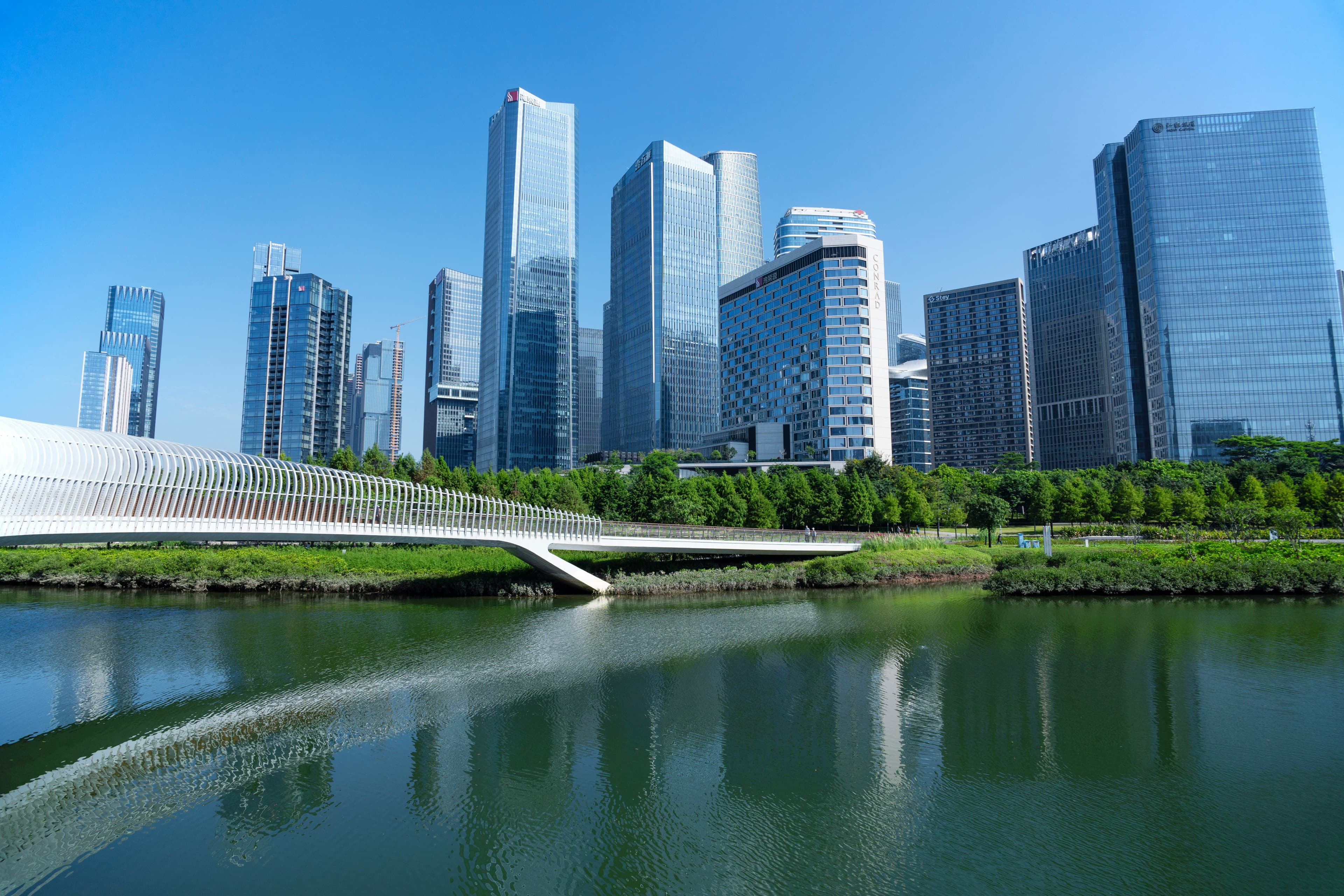 About the series C+ stage jobs market