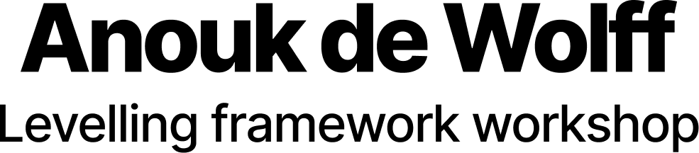 Netherlands Levelling Framework